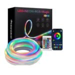 LED Neon Light with Remote Control & APP (5 Meter)