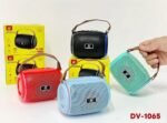 DV-1065 
Wireless speaker - Image 2
